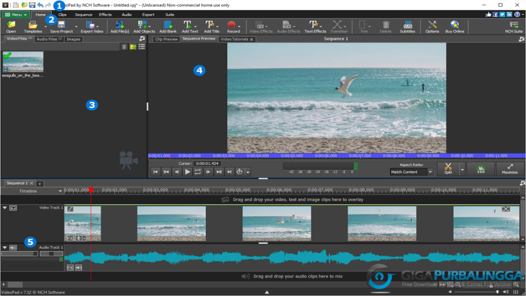 NCH VideoPad Pro Full Terbaru